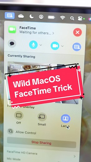 Cool new FaceTime feature for screensharing using a Mac! #tailormadetech #apple #techtok #macos #appletipsandtricks #macbooktricks