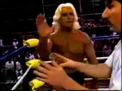 Ric Flair vs. Lex Luger (WCW Capital Combat 1990, Steel Cage)