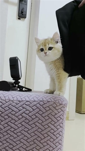 不可能完成的任务An impossible task