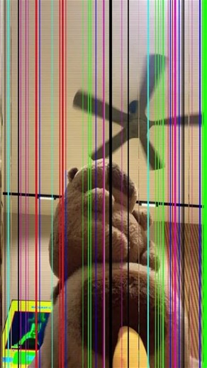 First time real life vid ummm I guess #funny #memes