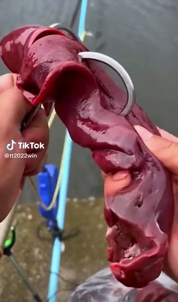 Best Bait for Catching Fish in Rivers