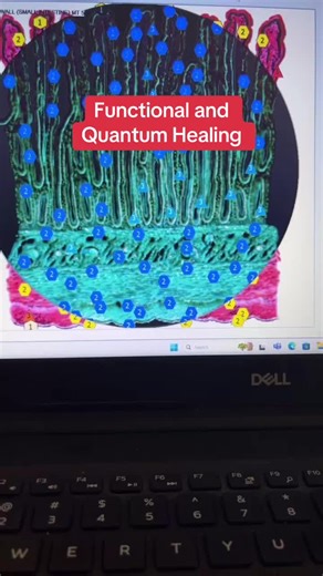 We are energy 🤩 ✨ The bioresonance scan is a powerful tool that helps us tap into body's innate intelligence. It shows pathogens, organs and destructive energetic patterns and provides deeper look into your cells. ✨Balancing your organ’s energy brings healing.❤️‍🩹 🚫No medical advice. I am not a licensed medical provider. This is for educational purposes. #functionallabs #quantumhealing #hairmineralanalysis #functionalstooltesting 💯🙂 #rifetherapy #weareenergy