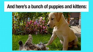 111K views · 150 reactions | The world isn't 100% garbage. | MTV News | Facebook