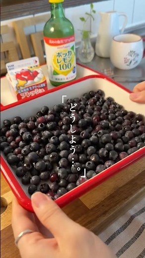 【材料4つ】自家製🏠ブルーベリージャム🫐✨