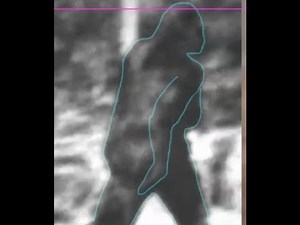 You think Bigfoot is a hoax? Explain this. (ThinkerThunker)