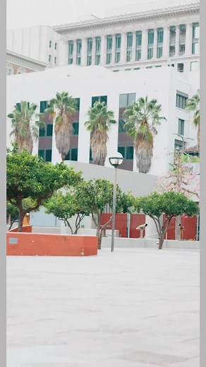 563K views · 10K reactions | Hound Dog | Isaiah Shinn | Facebook