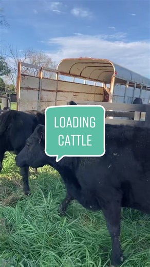 Skyview Acres VA on TikTok