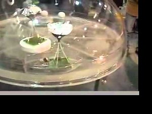 Transmission of Power Without Wires (Scalar Waves)