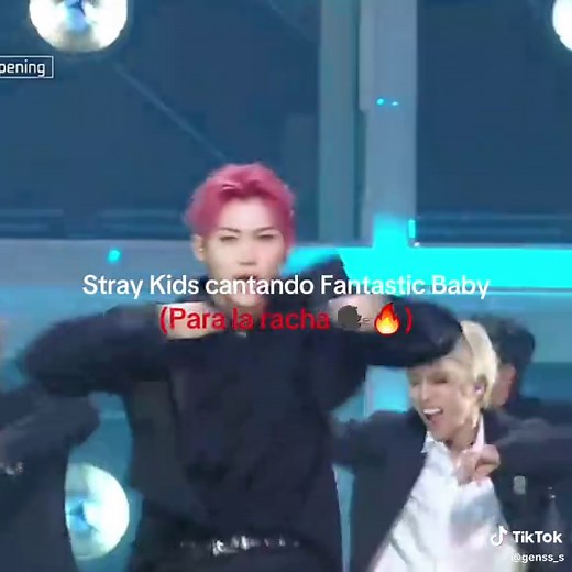 Stray Kids: Fantastic Baby Dance Cover