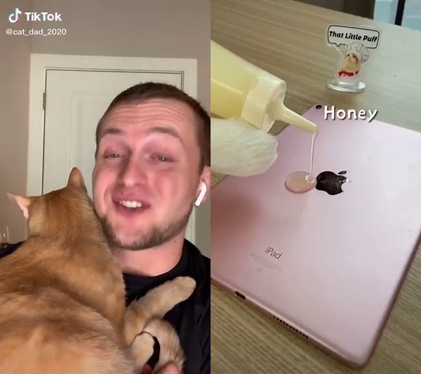 Delightful Cat-Themed Drink Ideas for Cat Lovers