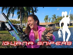 Creeping up on Iguanas