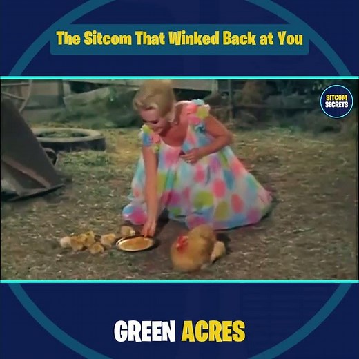 The Sitcom That Winked Back at You – Green Acres (1965–1971)