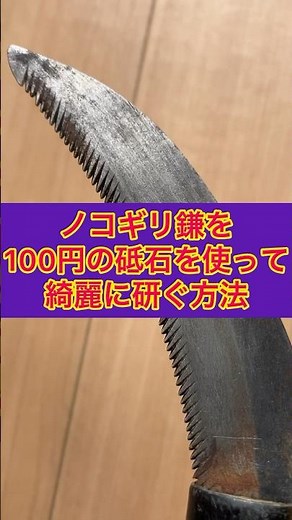 ノコギリ鎌を100円の砥石を使って綺麗に研ぐ方法/How to sharpen a sickle using a 100 yen whetstone