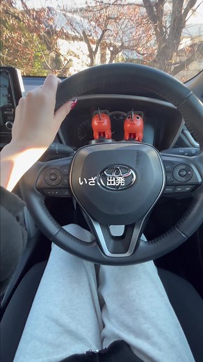 潔癖症対策: 除菌と抗菌の重要性