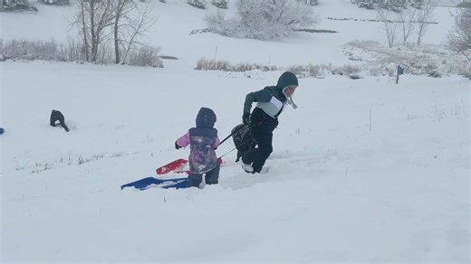 Despite power outages in Denver metro area, many Coloradans enjoy the snow day