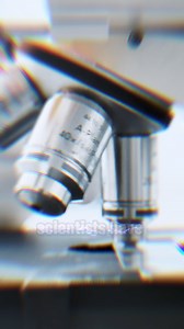 2.3K views · 17 reactions | The detective work of four great scientists has identified the leading genetic causes of Parkinson's disease. We celebrate them at this year's #BreakthroughPrize ceremony with a worldwide premier streaming on Meta April 21. | Breakthrough | Facebook