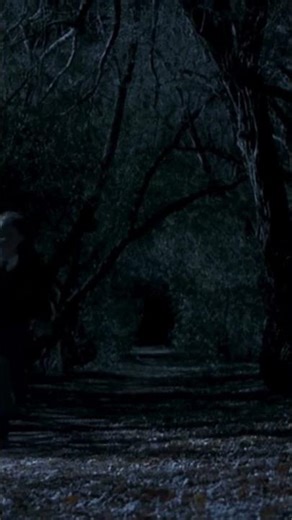 The most haunted forest in India. 🌳 #ghoststories #forbiddenlore