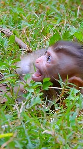 7.3K views · 194 reactions | Why Libby drop Rainbow crying alone so long time like that! what's wrong? | Good Or Bad | Facebook