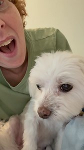 49K views · 4.8K reactions | Hewwoooooo!!!! We’re a little late,...