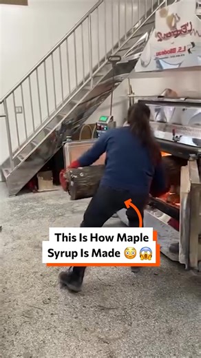 This is how maple syrup is made 😳😱 | Twisted