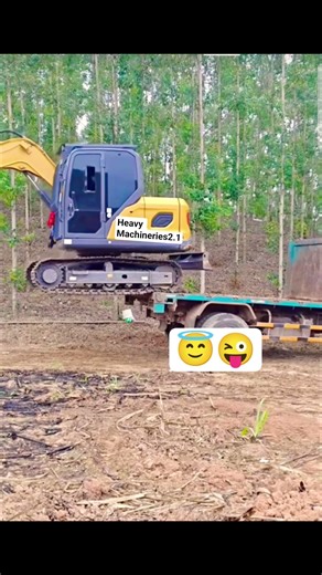 Unbelievable Excavator Unloading Skill Without Ramp | Dangerous But Perfect Operator Control