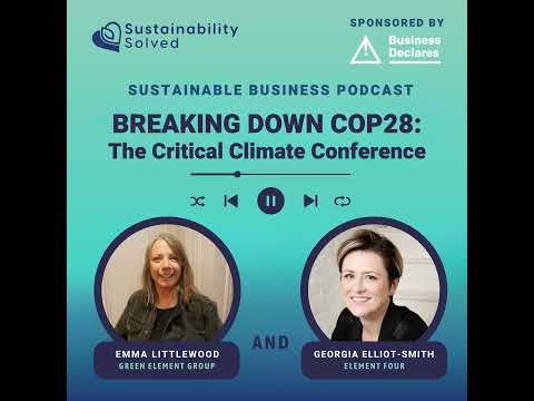 Breaking Down COP28