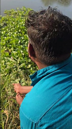 👀Unexpectedly Big Fish Catch #fishing