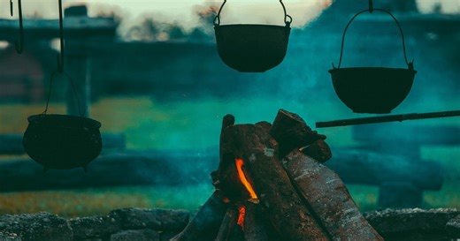 Think you know the best campfire wood? These 7 wood options might have you thinking twice