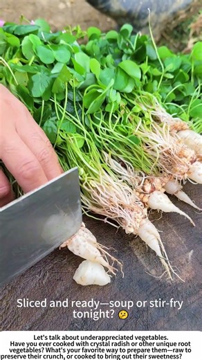From Root to Recipe: Prepping Crystal Radish 🧑🍳🔪