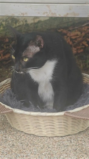 White socks. Close up after afternoon nap.
