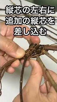 松ぼっくり付きのアケビので平皿を編む #basketweaving #ハンドメイド #かご編み #diy #ナチュラルな暮らし #丁寧な暮らし