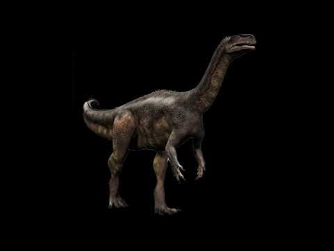 Plateosaurus Sound Effects