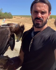 4.3K views · 419 reactions | Aquile e falconi #tiktok #abruzzo #montigemelli #avventura #falcong #mylife #perte #falco #falconiere #rapaci #athena #aquila ❤️礪❤️ @athena_j7 #passeggiatawild @fortezzadicivitella domenica 11 luglio info 3208424540 | Falcong | Facebook