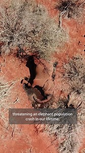 33K views · 348 reactions | Severe drought is dangerous for people...