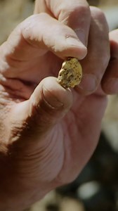 Gold in Quarz! Ein Wert von ca. 1500$ 😍 ⛏ Goldrausch: America's Backyard Gold 🆕 Neue Show I Mittwoch I 21:15 auf #DMAX Previews könnt ihr immer schon 7 Tage vorab auf discovery sehen. #Goldrush #AmericasBackyardGold #DaveTurin #DMAXDNA | DMAX
