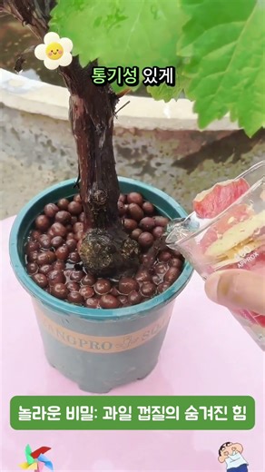 🍎 The secret to fruit peels you never knew! You'll be surprised if you watch until the end! 📈 Thi...