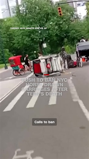 New York officials are renewing efforts to ban horse-drawn carriages after an 18-year-old tourist died in a runaway carriage accident in Central Park. A City Council hearing is scheduled for next month. #CNN #News #NYC