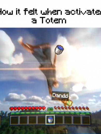 Minecraft Totem Meme Compilation