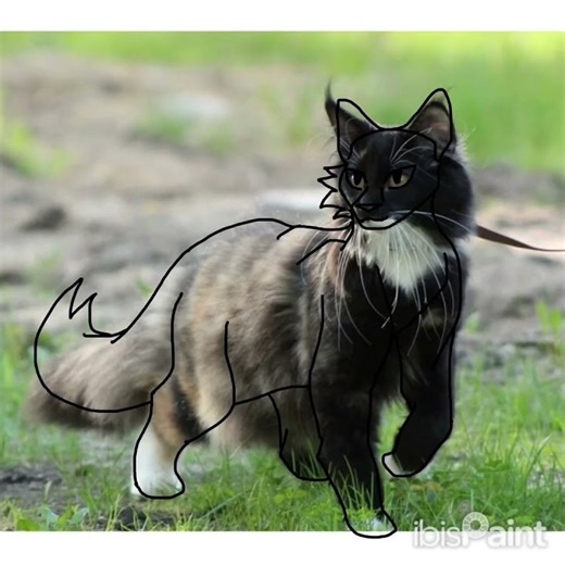 Drawing warrior cats with reference pictures because my family had to evacuate from our house