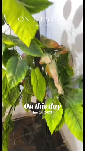 #onthisday