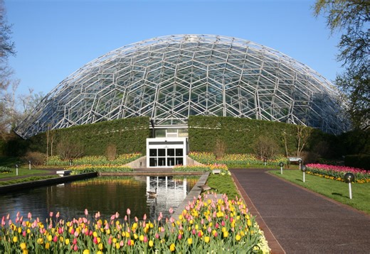 St. Louis in competition for best botanical garden, zoo