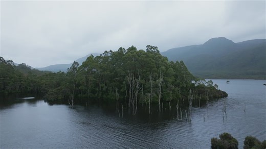 Watch Alone Australia Season 3 Episode 12 | HISTORY Channel