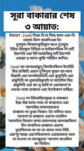 Surah Al-Baqarah Last 3 Ayat 🤲 | সূরা বাকারার শেষ ৩ আয়াতের শক্তি!