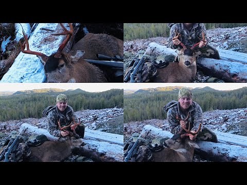 Prince of Wales island: How I call Sitka Blacktail