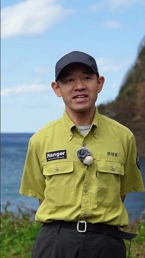 レンジャー・ウォッチング！小笠原（ハイライト）｜日本の国立公園