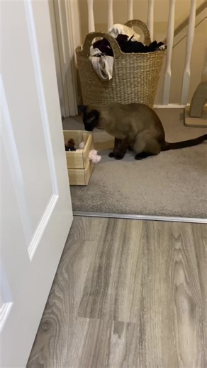 Why make it so hard to get a Teddy from the toy box