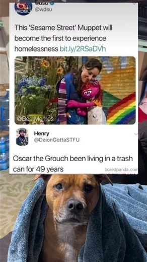 This Sesame Street muppet will become the first to experience homelessness #fyp