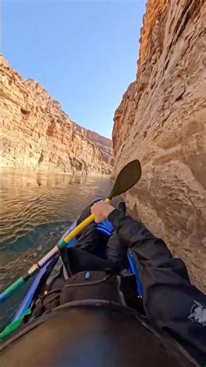 Dogs needed some air