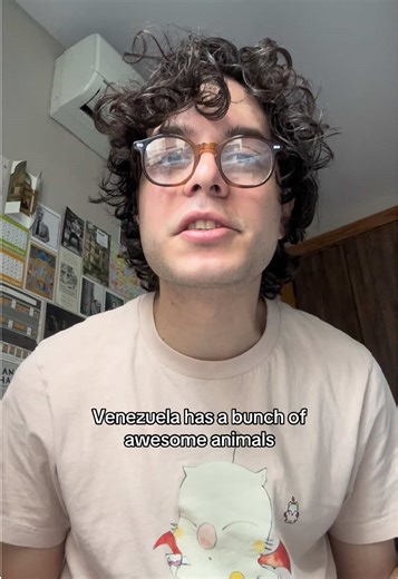 Discover Five Amazing Animals of Venezuela