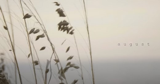 泰勒·斯威夫特的'august'-歌曲的含义和事实